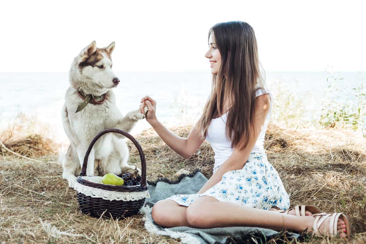Are Siberian Huskies Good for First-time Owners?