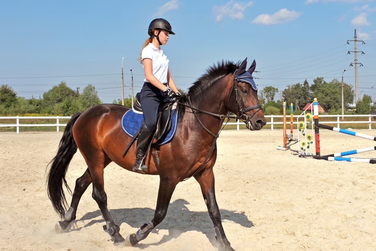 Young girl riding bay horse on arena at equestrian school