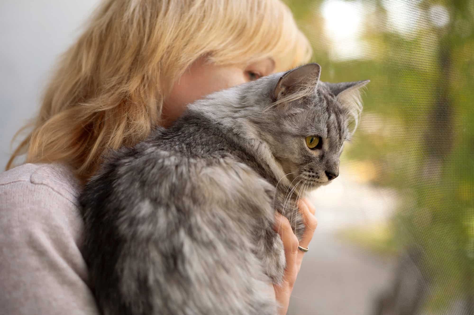 Are Siberian Cats Hypoallergenic? What You Need to Know