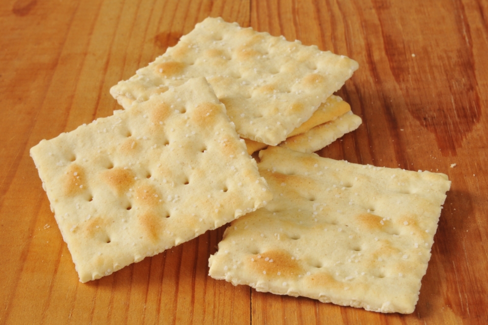 Can Dogs Eat Crackers? Answers for 45+ Types of Crackers