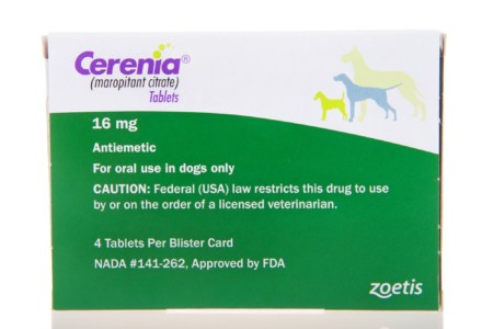Cerenia Killed My Dog? - Everything You Need to Know
