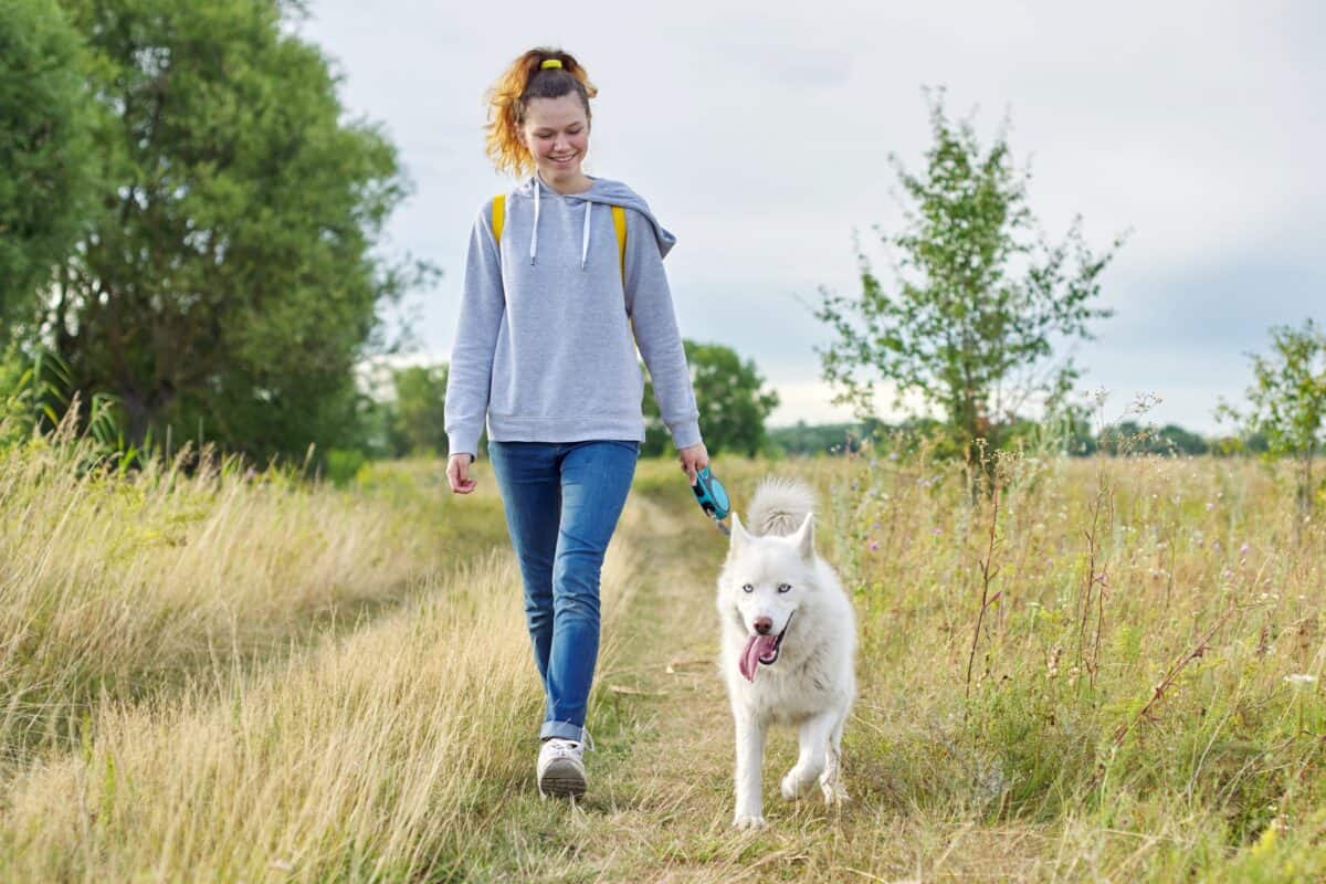 Teen girl walking with white Husky dog