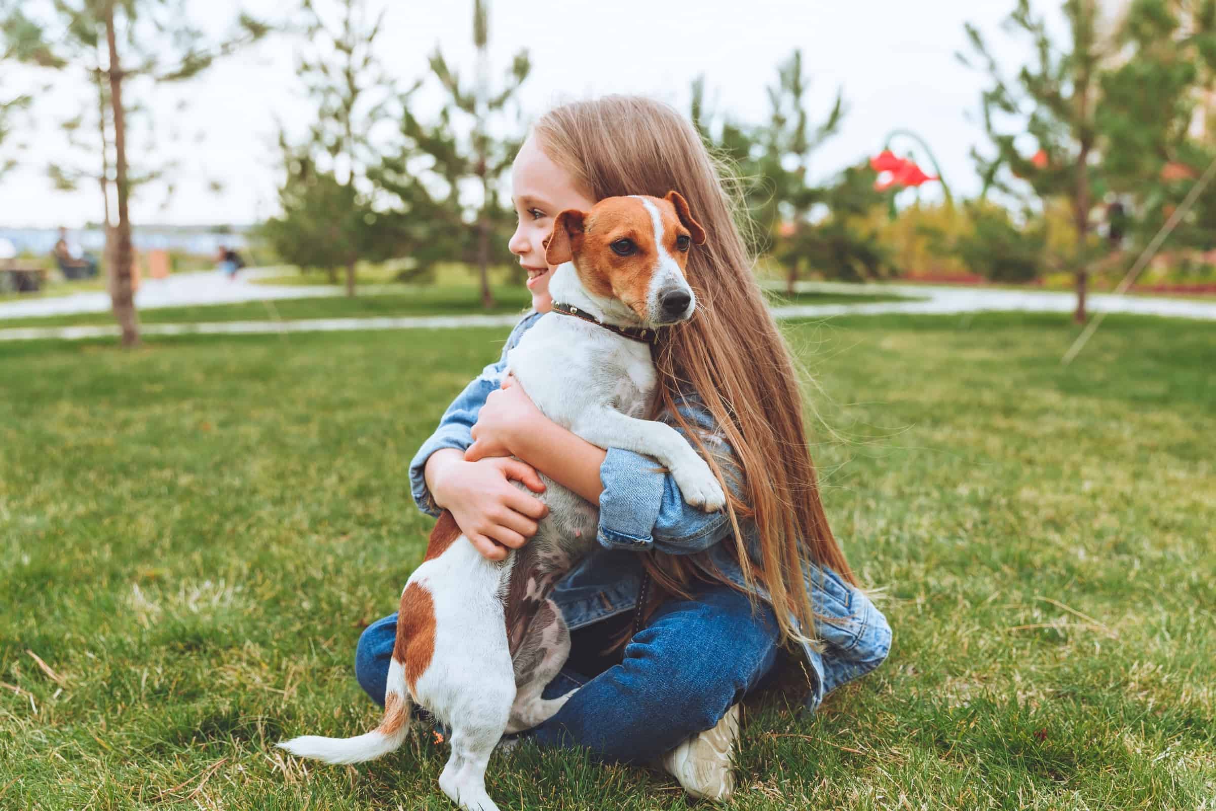 Dog Yelps When Picked Up (Top 10 Reasons & What to Do)