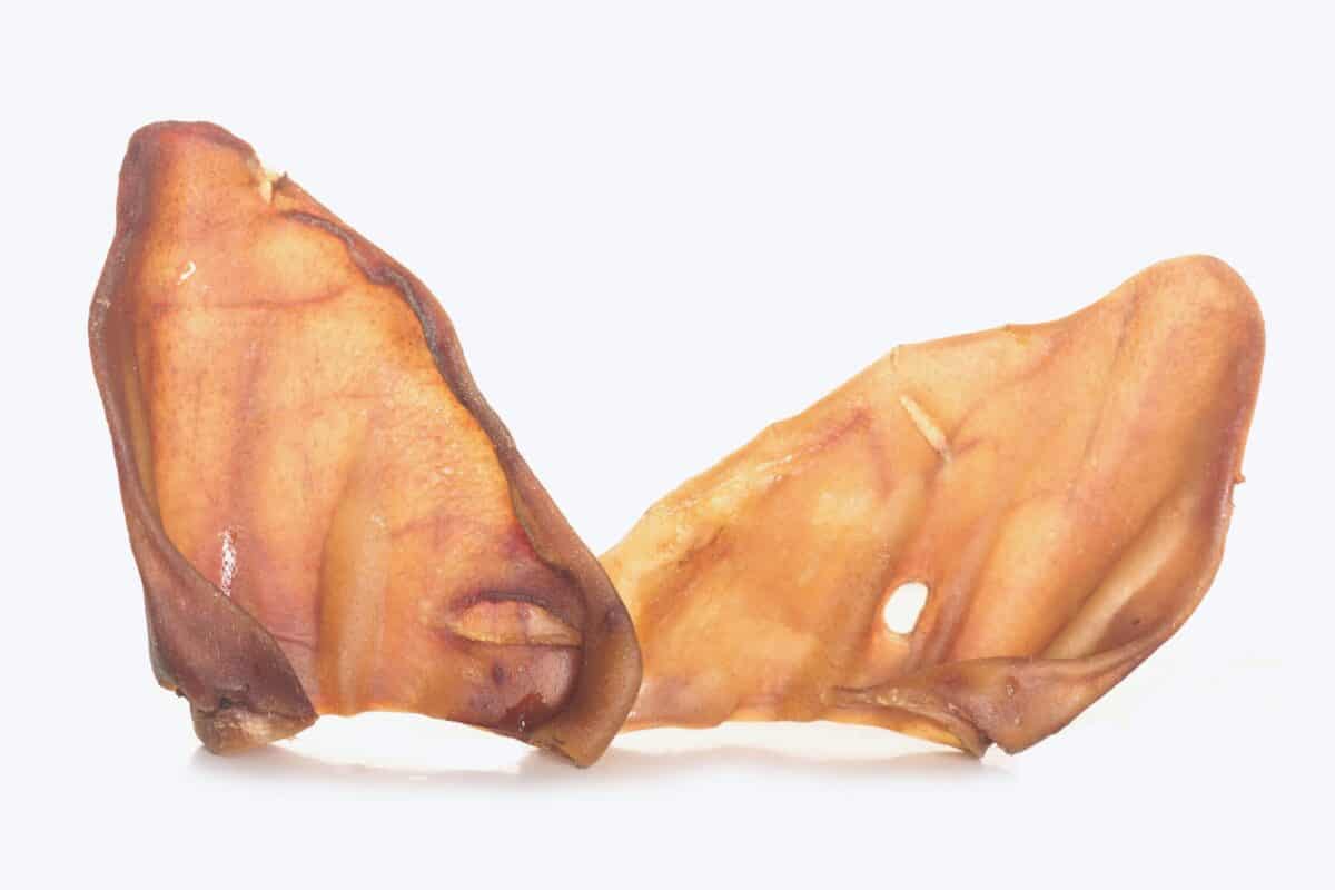 Picture of pig ears in white background