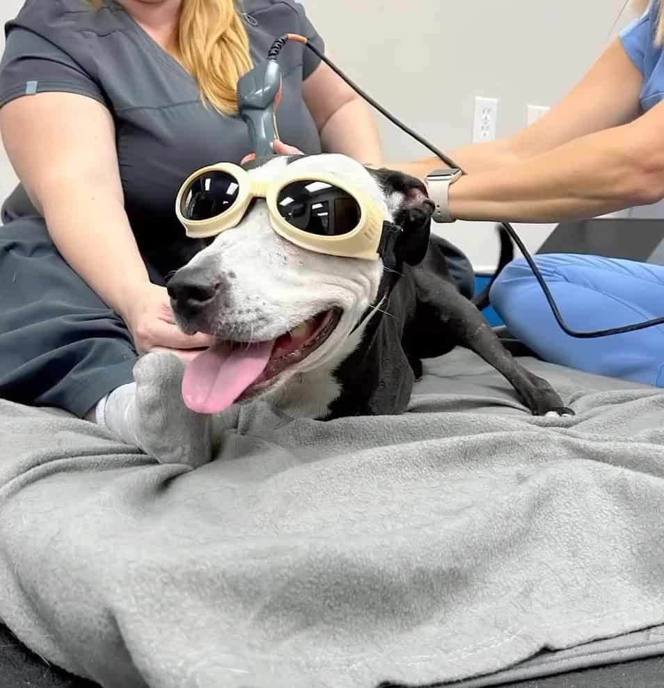 Joey smiling as he receives therapy